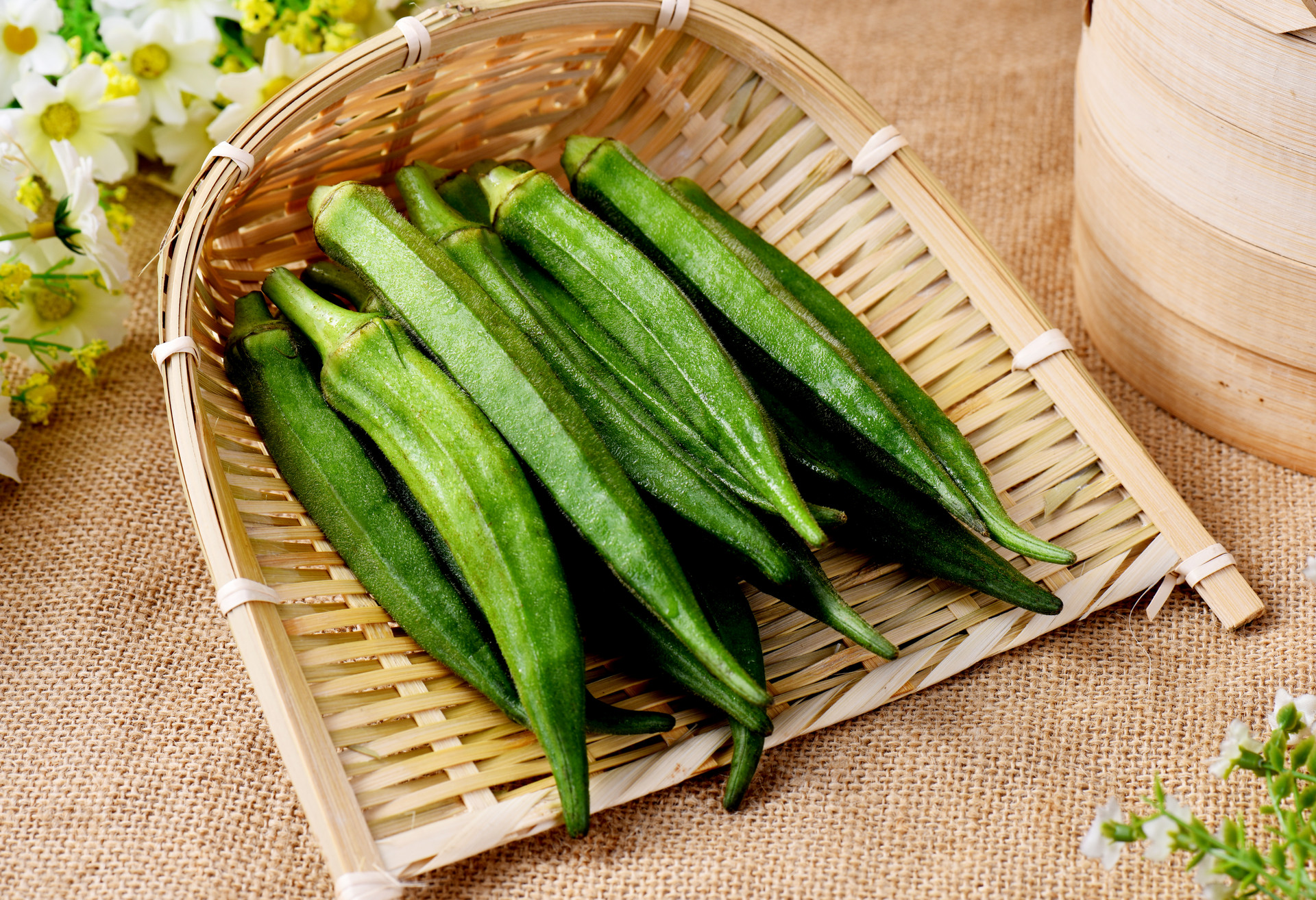 秋葵APP下载汅API免费麻豆秋葵APP下载与汅API免费使用指南，麻豆体验新篇章-第2张图片