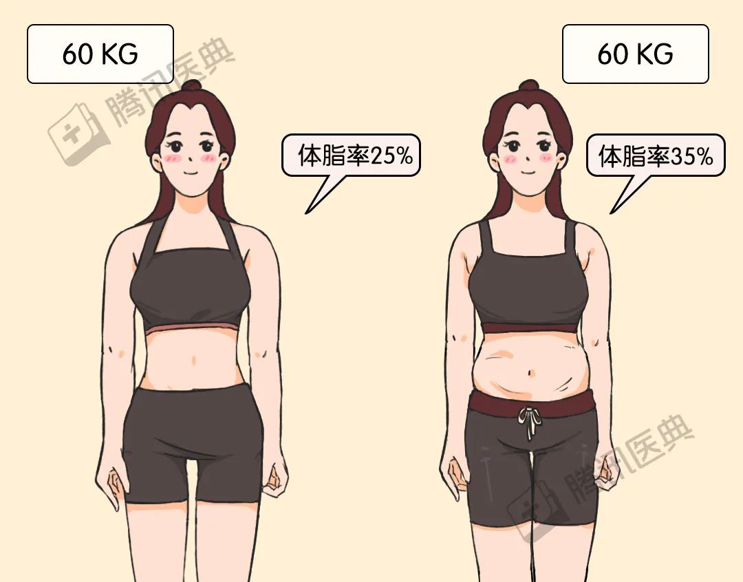 瘦子与胖子b谁大瘦子与胖子，身体形态的差异与影响-第1张图片