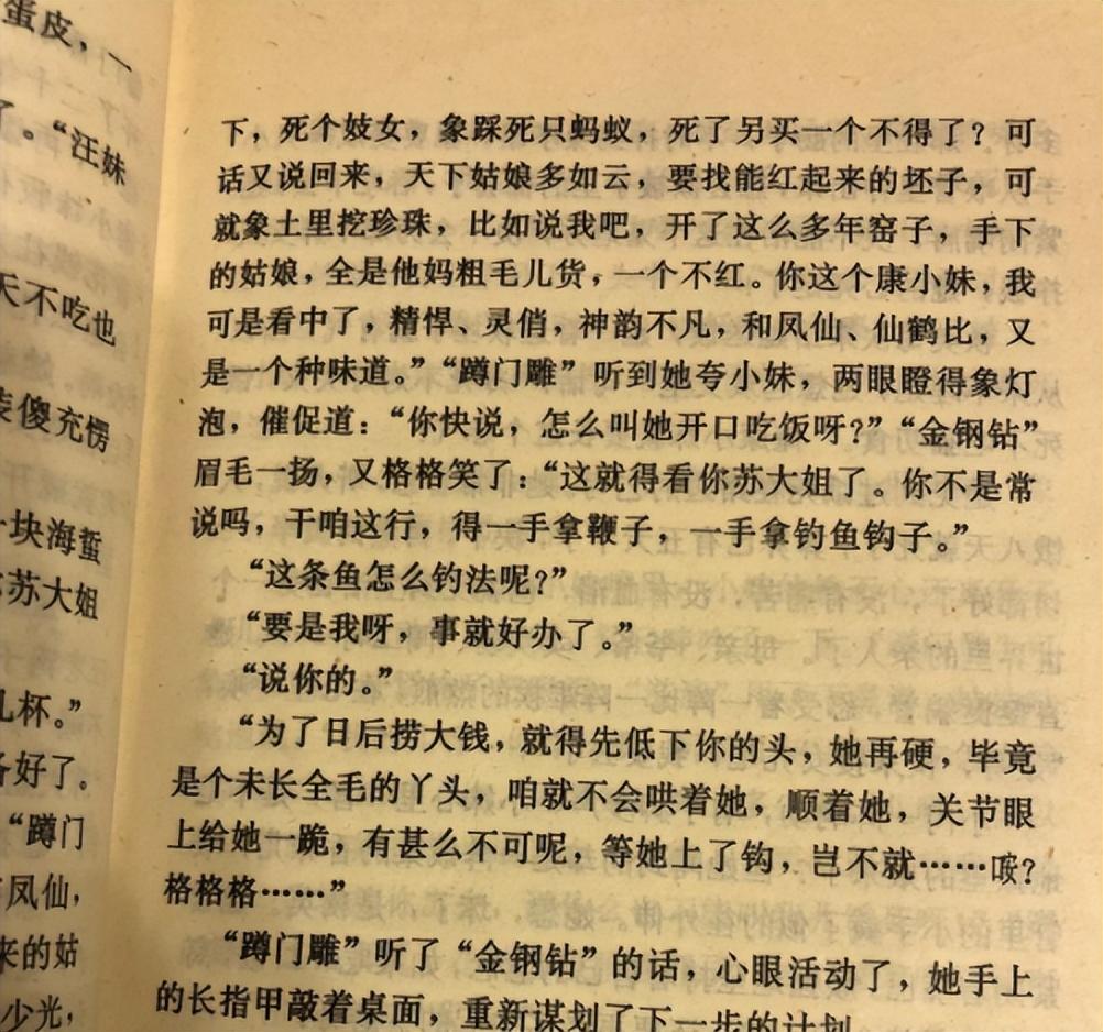 妓女的生活是什么意思妓女的生活，深入探索与理解-第1张图片