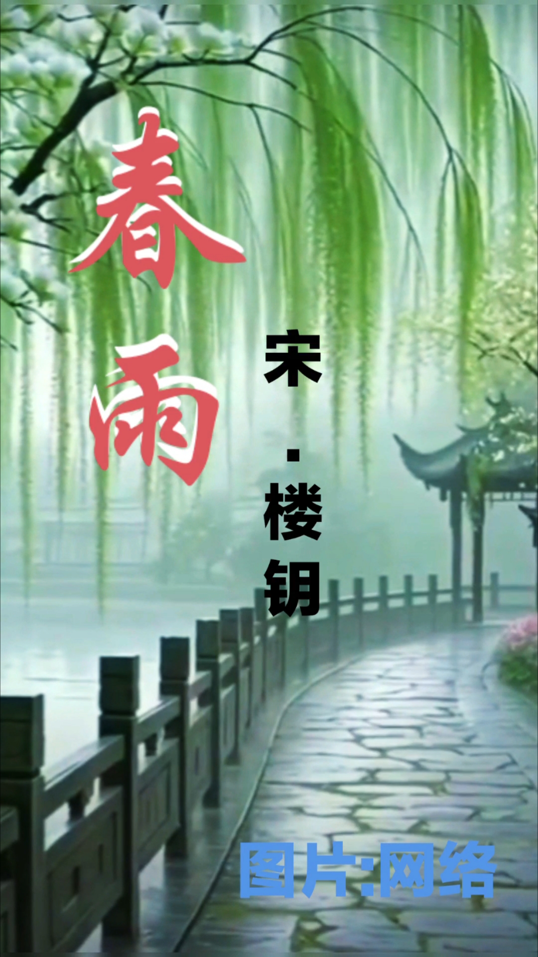春雨直播免费视频春雨直播，免费视频的魅力与体验-第3张图片