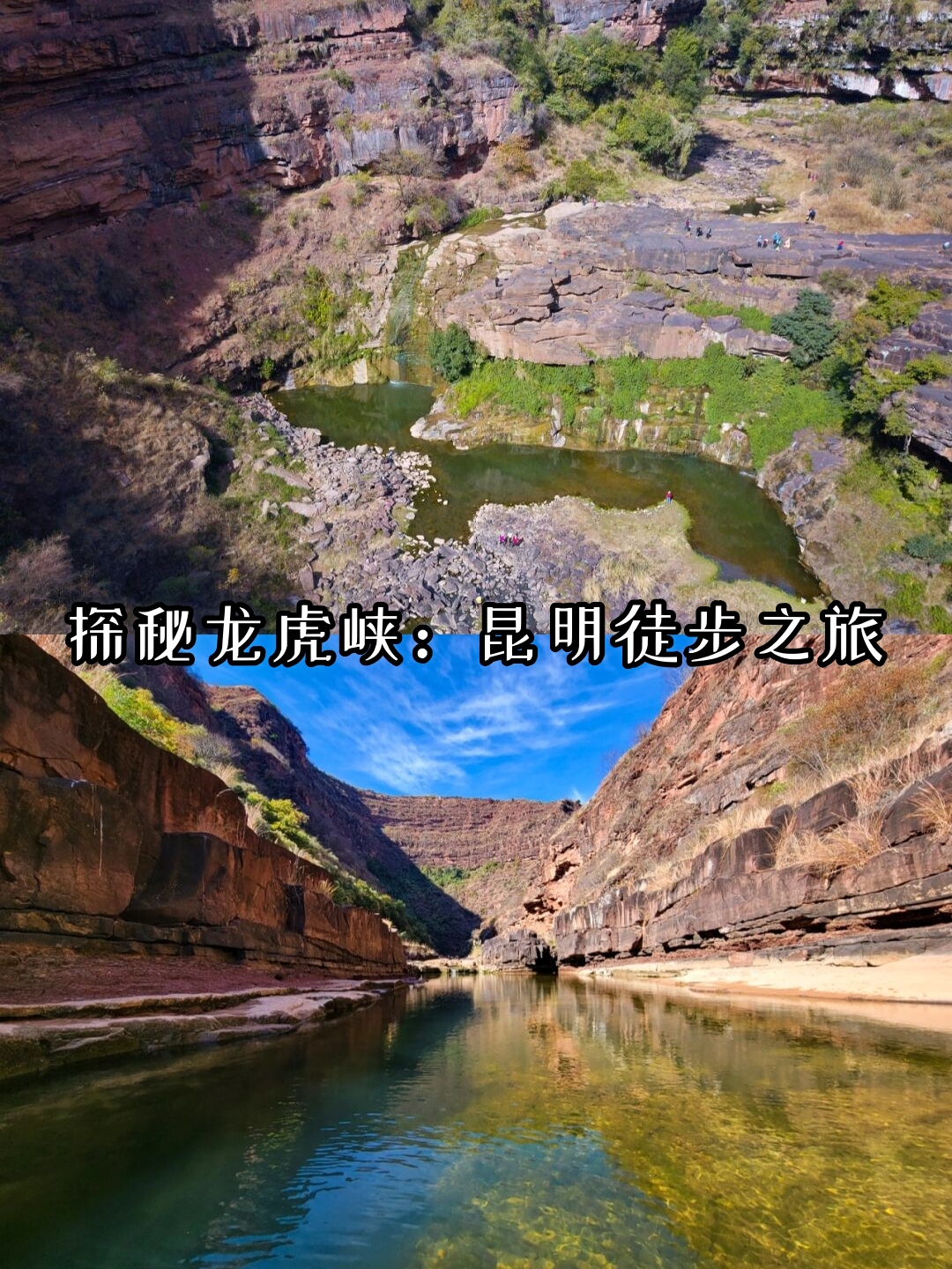 探索天堂网WWW最新版官网的魅力之旅-第1张图片
