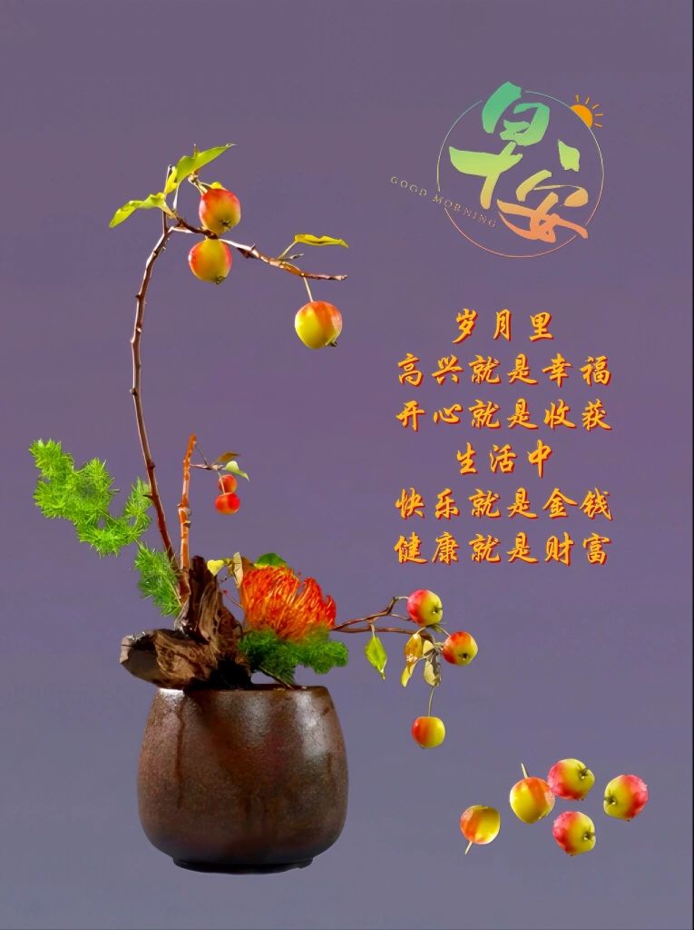 开心赚宝官网开心赚宝，解锁财富与快乐的新方式