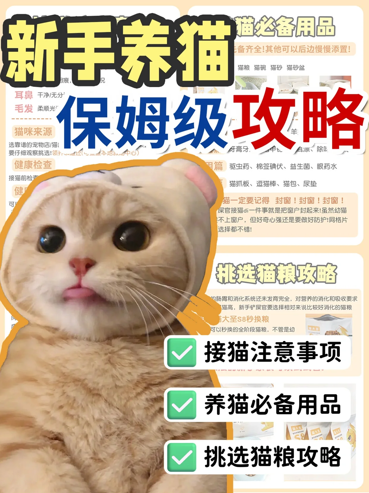新版猫咪，探索其当前地址入口的全面指南-第1张图片