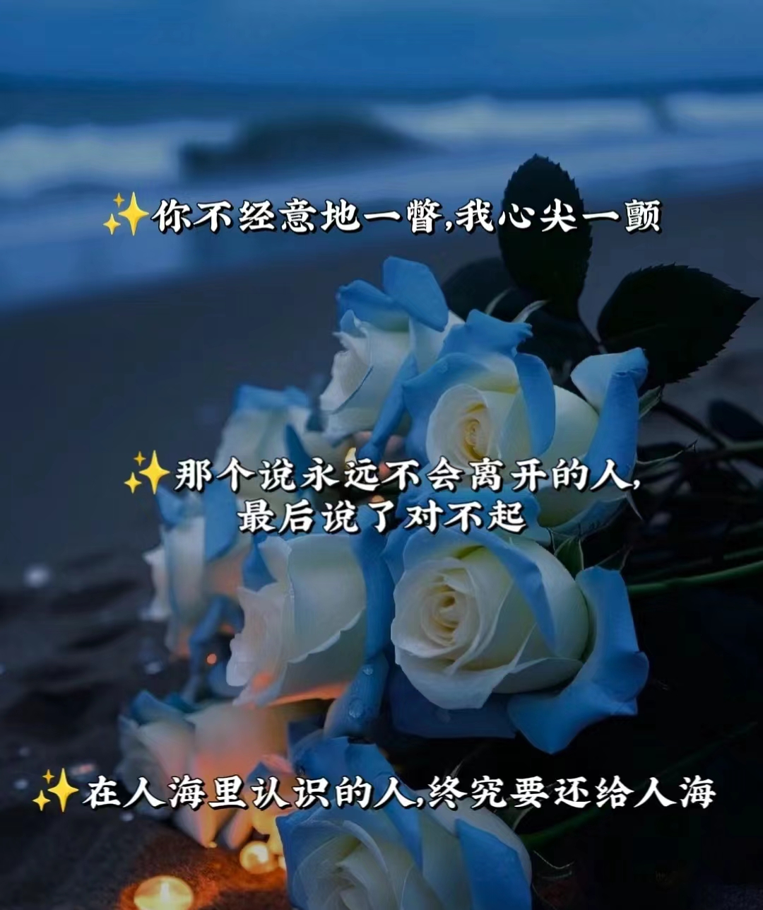 珍爱之心的简单解释——里面也要好好疼爱-第1张图片