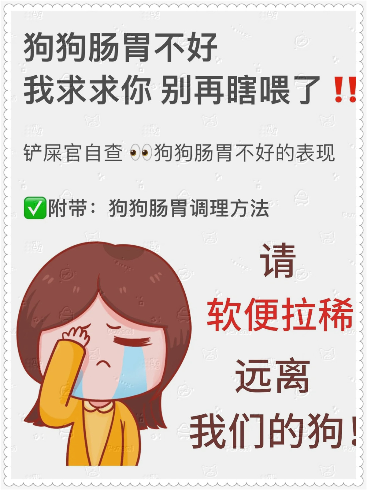 面对困扰，我们家狗老是上我怎么办？