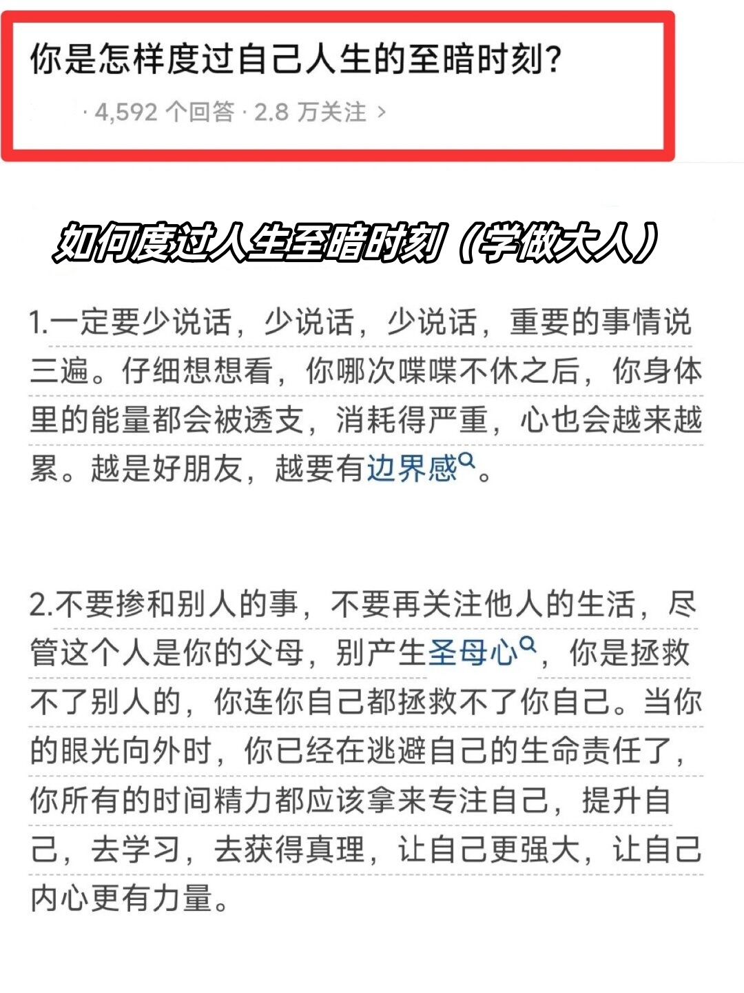 成人网络成人网络，构建、影响与挑战-第2张图片