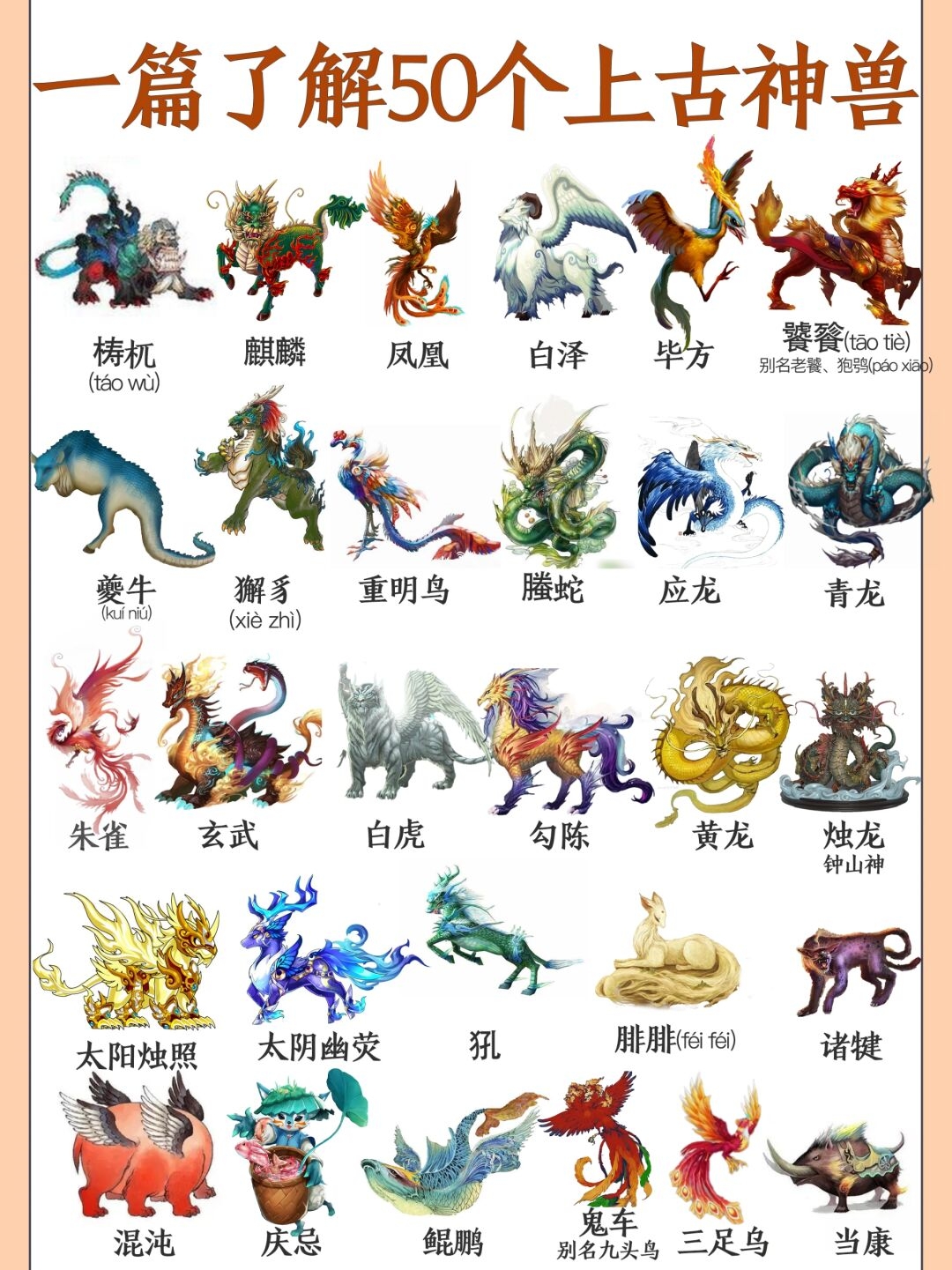 奥丹姆蝎子，神秘生物的探索与解读