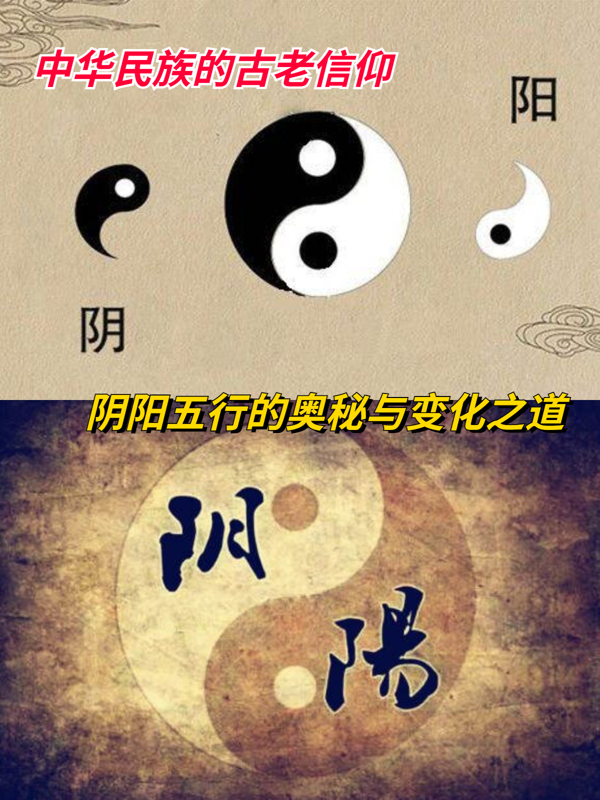 魅力值的奥秘与提升之道-第2张图片
