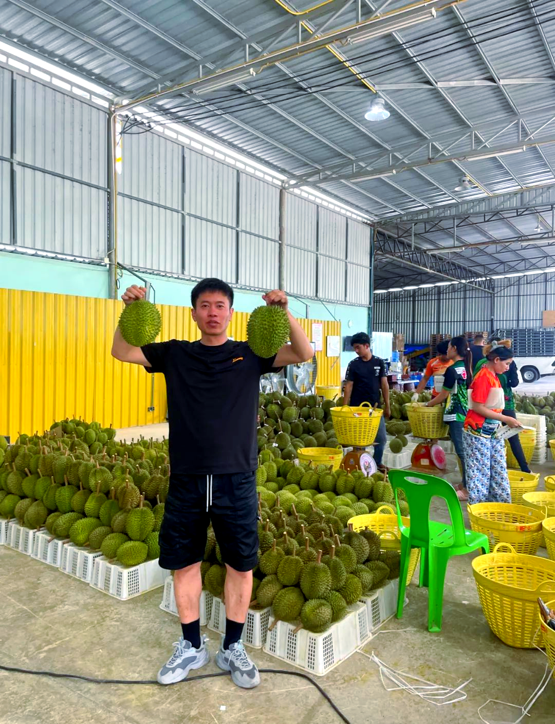 榴莲视频正品进入，探索与体验的旅程-第3张图片