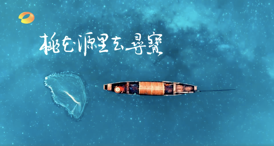 乱码中字芒果视频2021，解码与探索的旅程-第2张图片