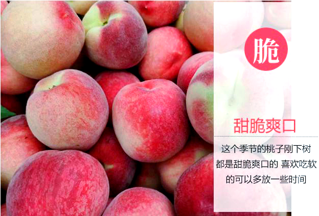 我的水蜜桃——柔软的甜蜜-第1张图片