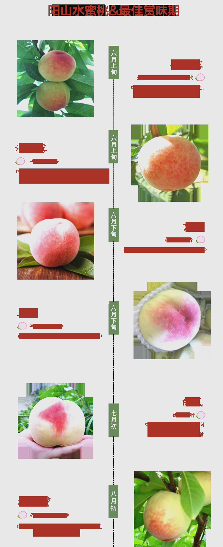 品味夏日甜蜜，好想你水蜜桃子肉的魅力-第2张图片
