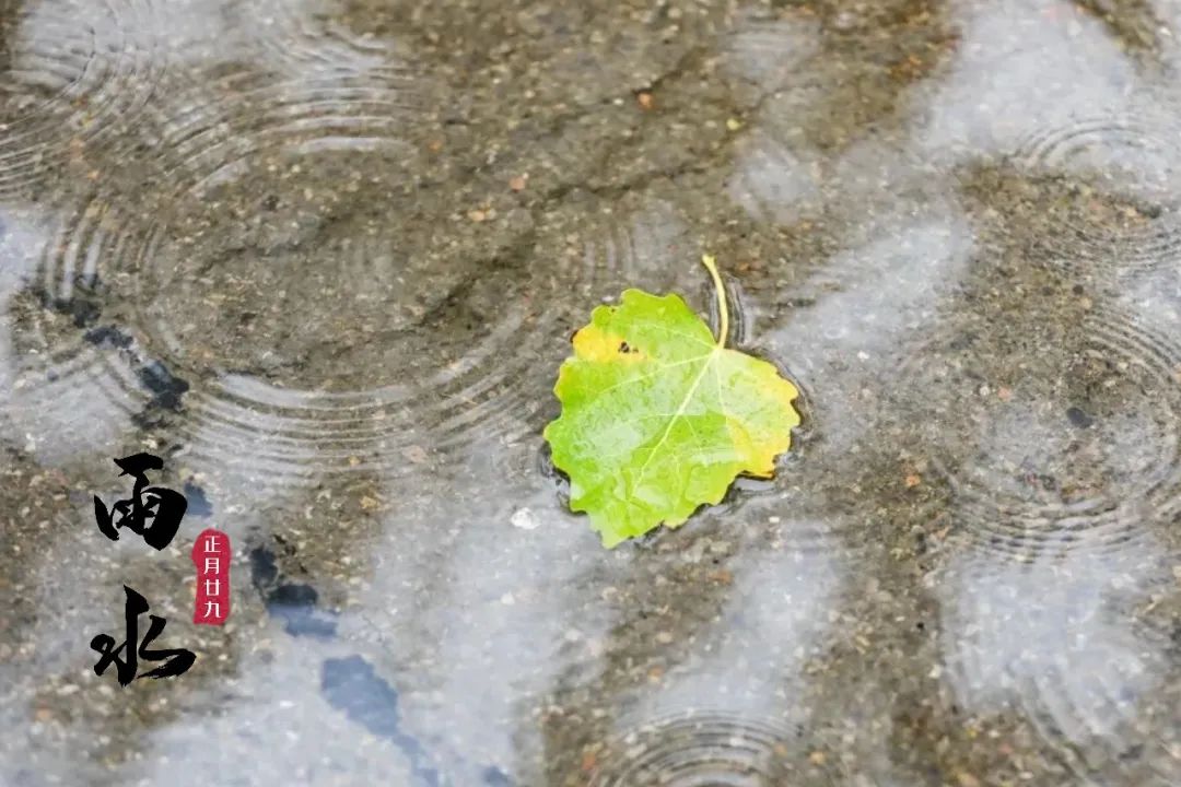 春潮里的变酥变软指的是什么春潮中的变酥变软——自然与生活的微妙转变