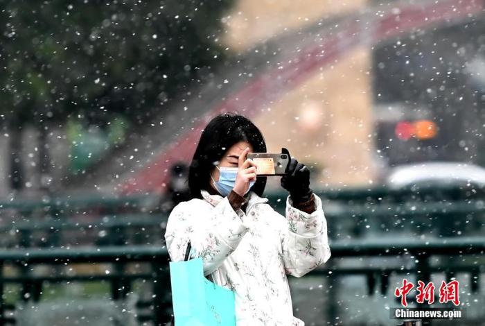 办公室中的小雪之乐