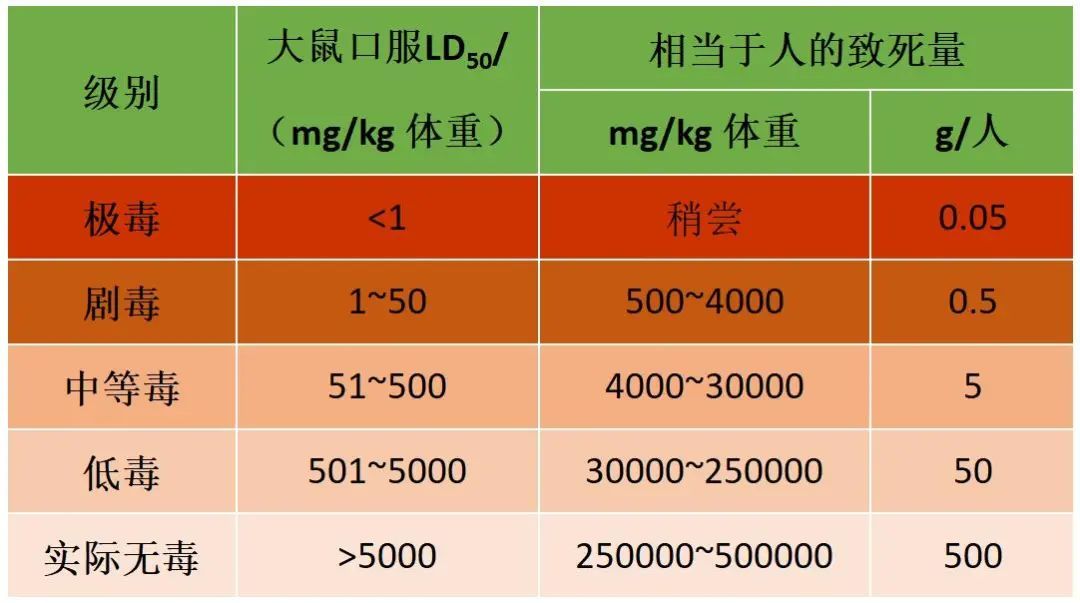 三精一毒，深度解析其内涵与影响