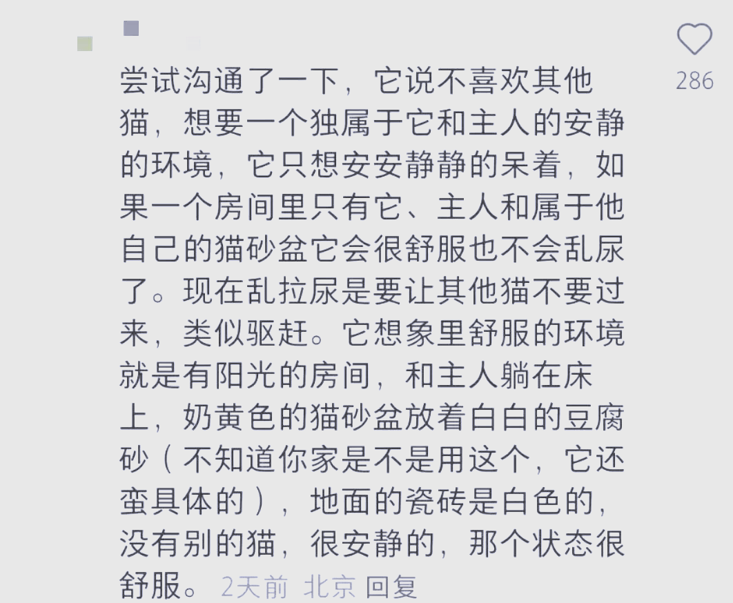 主人尿在肚子里不能流出来主人尿在肚子里不能流出的困境-第3张图片
