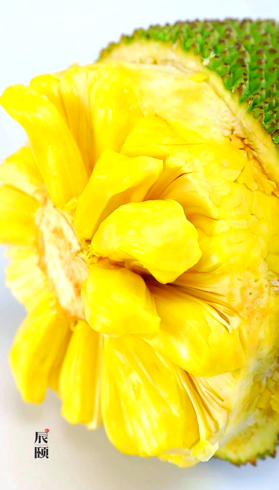 菠萝蜜的魅力，免费观看的乐趣与探索