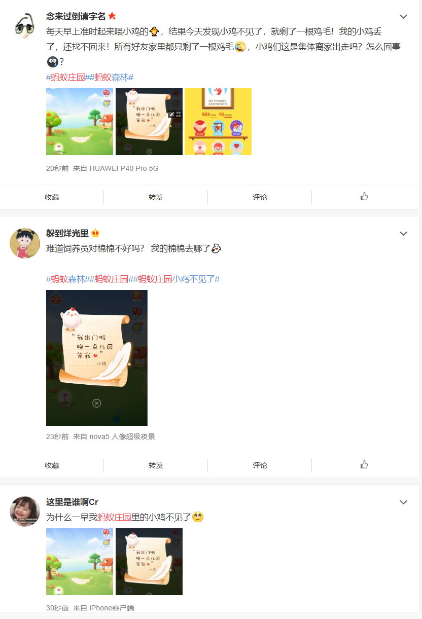 小鸡庄园今日答案更新——11月3日版-第2张图片
