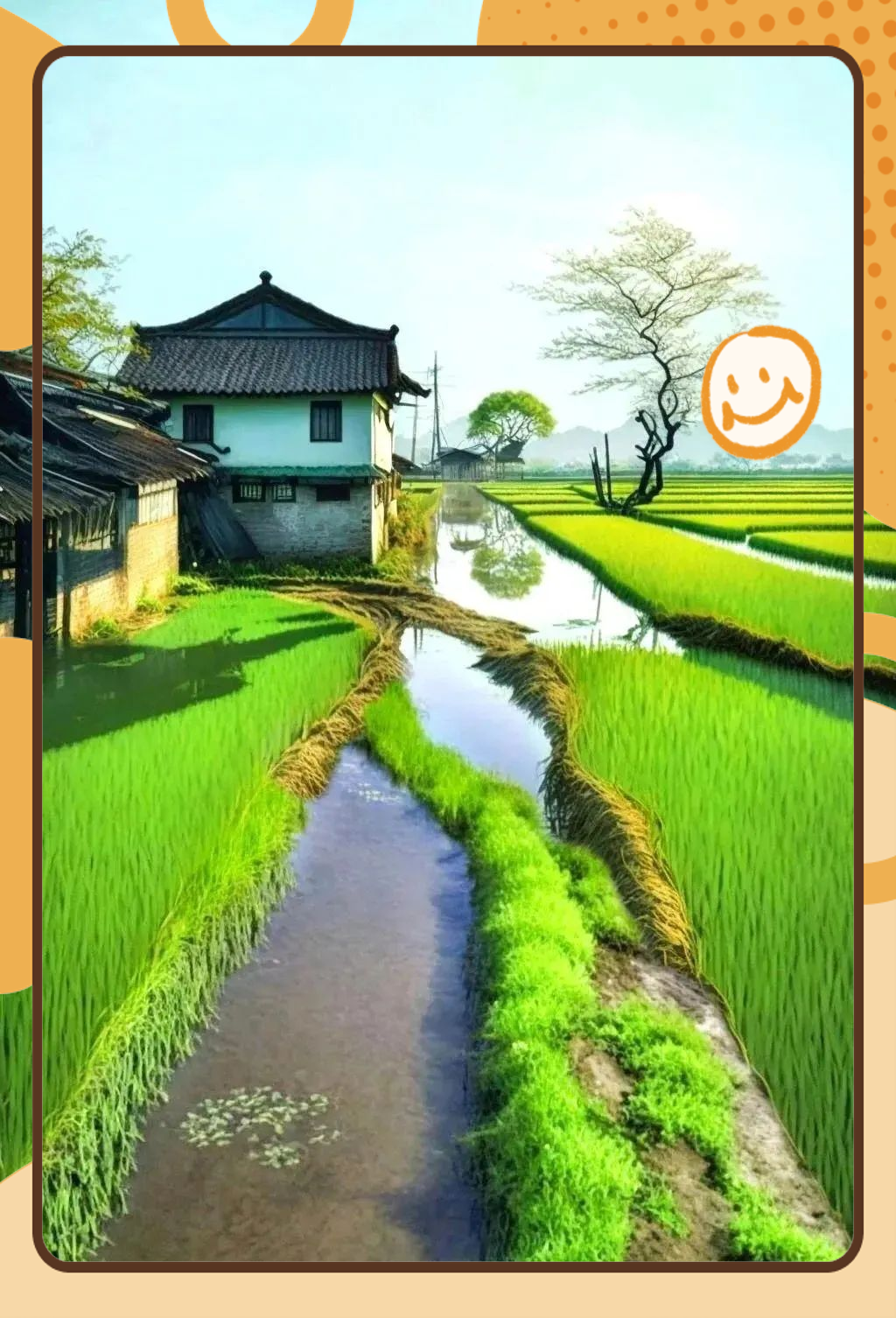 夫妻间100间插秧法人民网夫妻间独特的插秧艺术——100间插秧法在人民网的探讨
