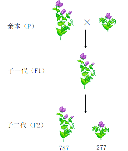 国产卡二区三卡乱码现象的探讨与解析