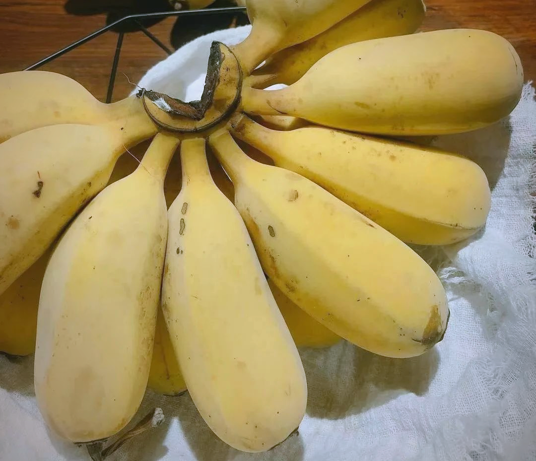 精品香蕉在线观看视频探索精品香蕉在线观看视频的魅力-第1张图片