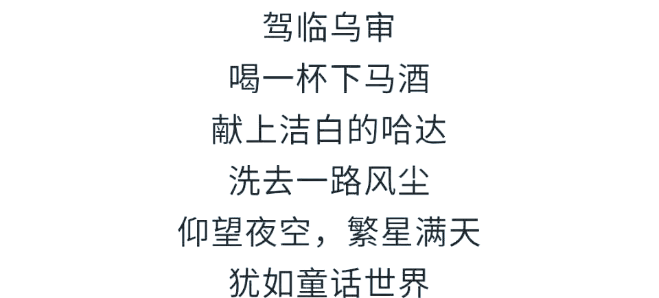 四虎永久地域网名背后的文化与时代印记-第1张图片