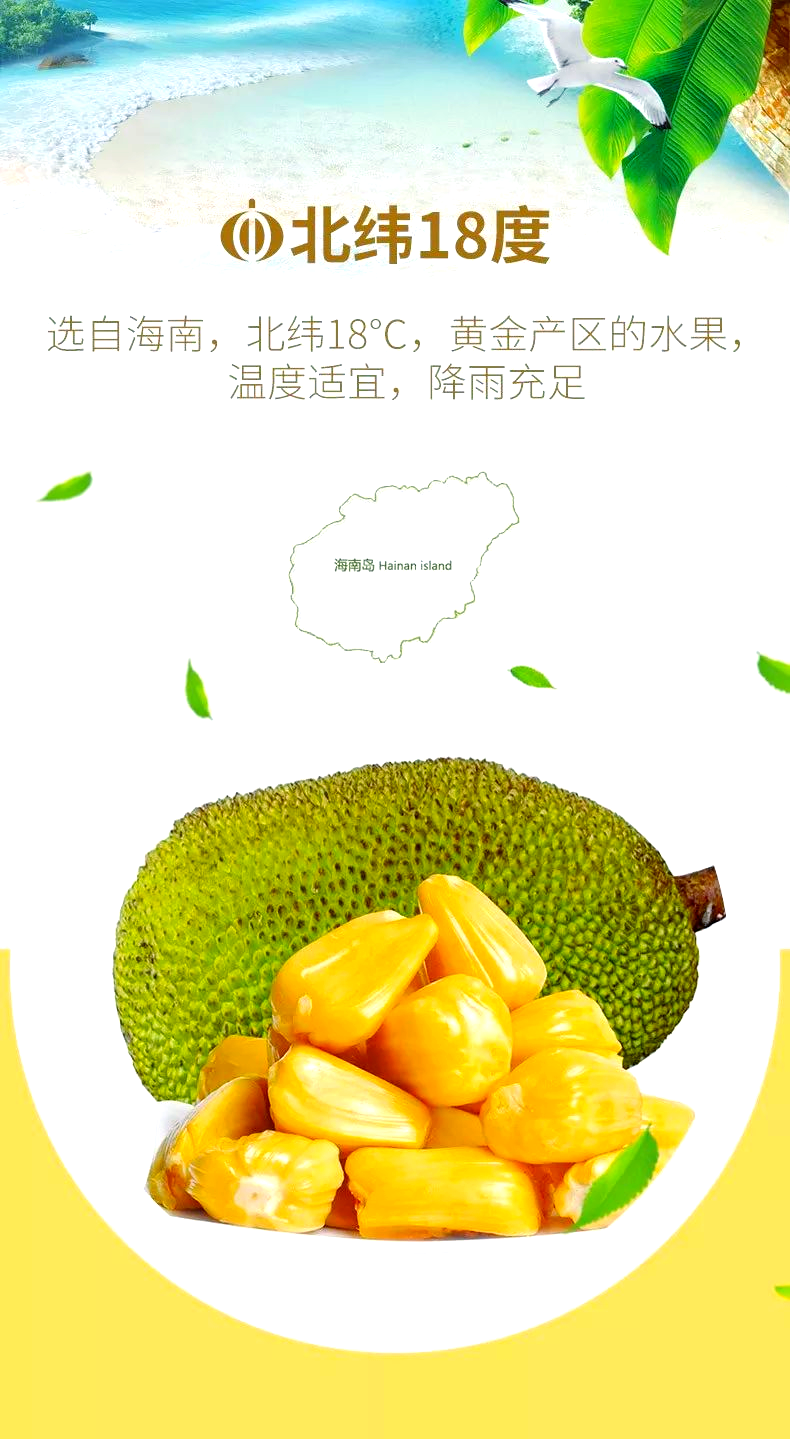 菠萝蜜播放菠萝蜜播放，探索其魅力与影响-第2张图片