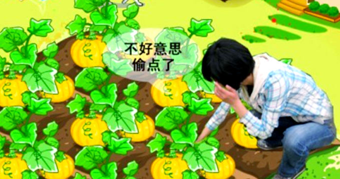 我的QQ农场，从虚拟到真实的田园生活