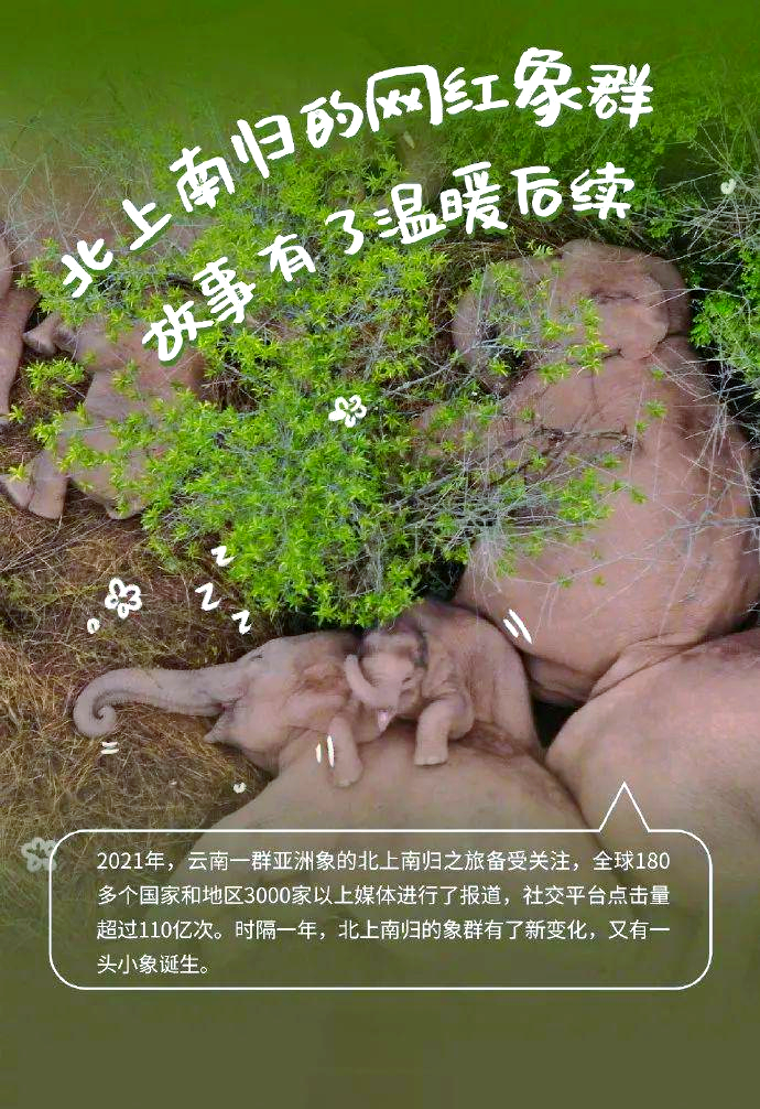 探索亚洲一级毛片，免费观看的多元文化体验-第3张图片