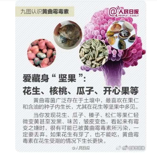 在线黄色观看的危害与防范-第2张图片