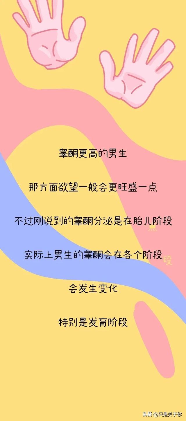老公不在时动漫第一季剧情介绍-第2张图片