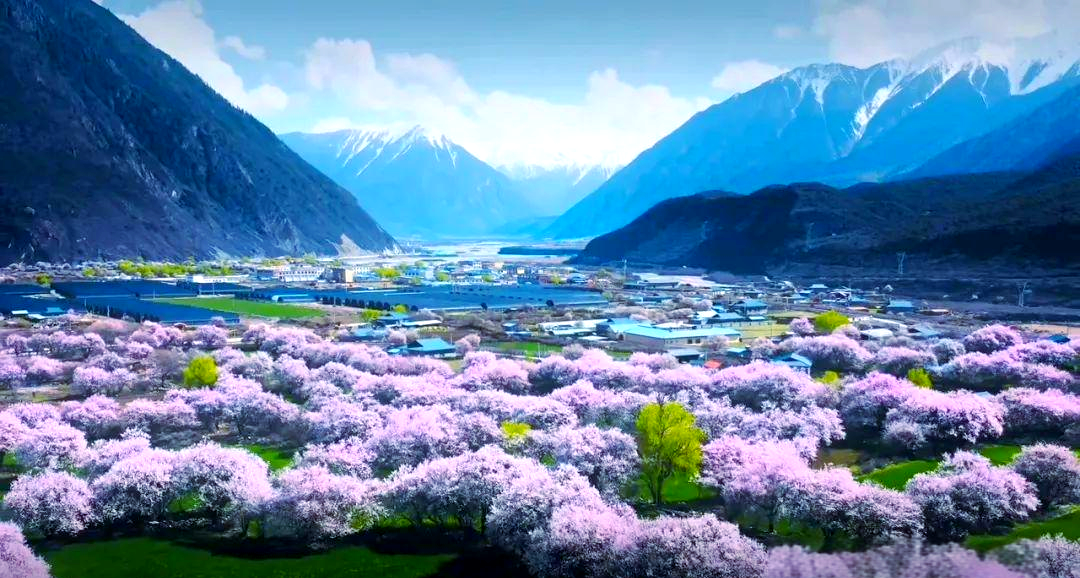 桃花在线视频观看免费桃花在线视频观看免费，探索与体验的旅程