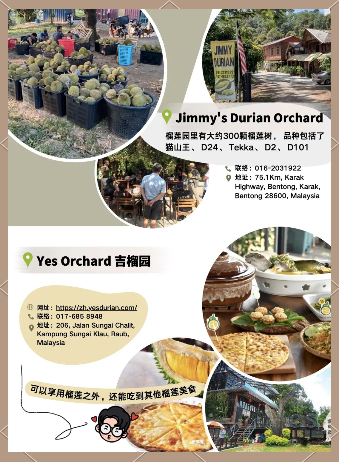 榴莲推广APP，便捷下载安装，享受独特体验-第2张图片