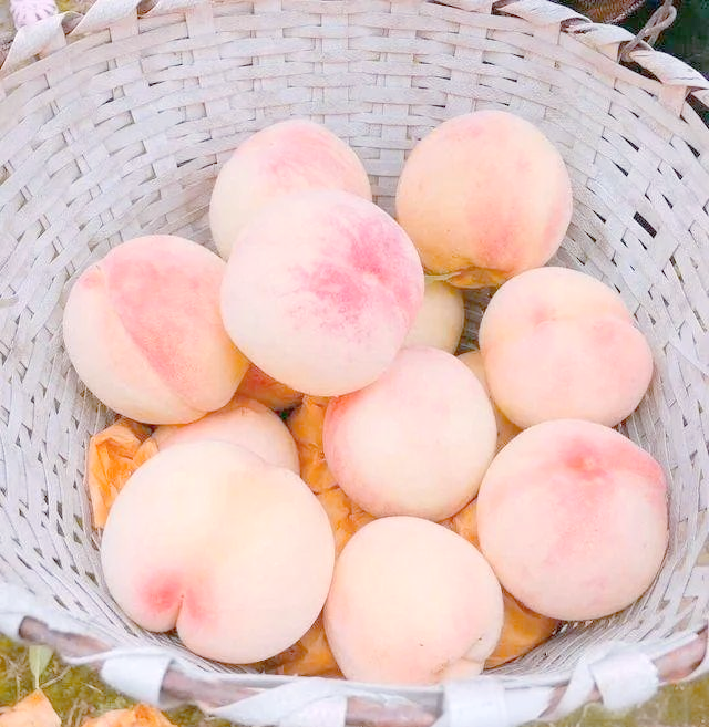 欧美色蜜桃欧美色蜜桃——品味异国水果的独特魅力-第2张图片