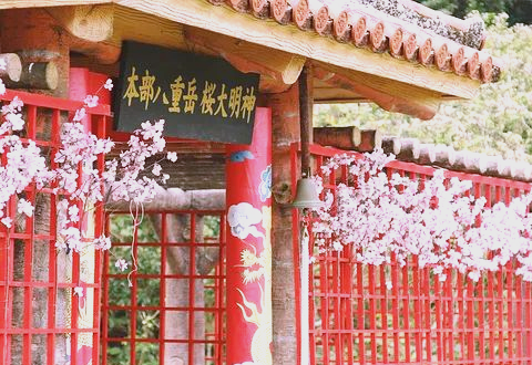 樱花官网官方进入入口樱花官网官方进入入口的探索之旅-第3张图片