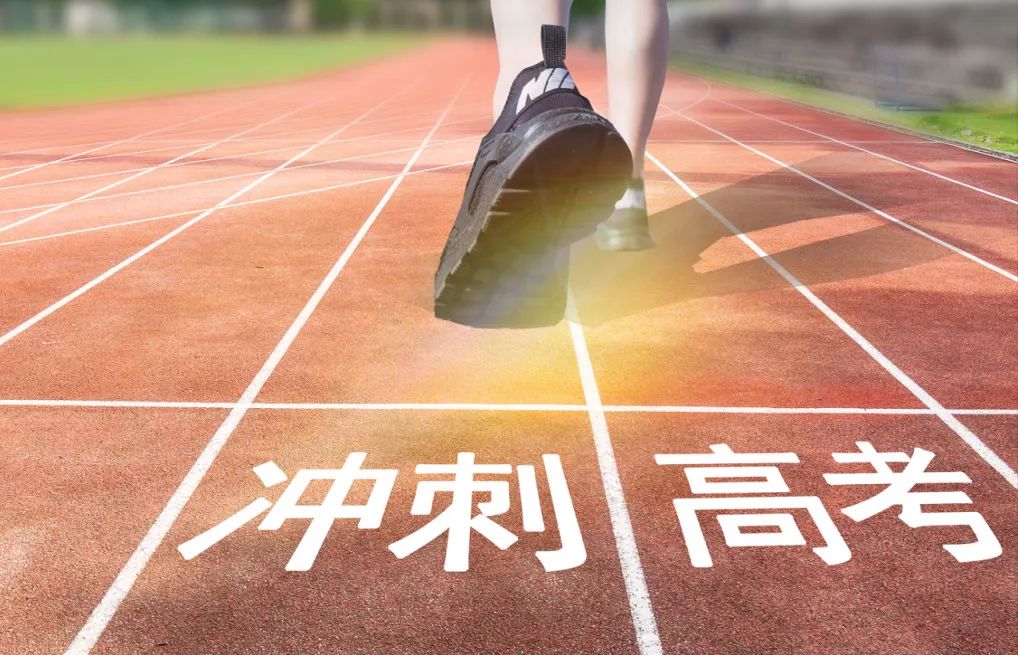 556探索数字的奥秘，556的多元解读-第1张图片