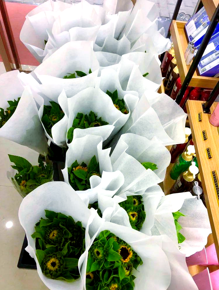 草莓、榴莲、向日葵与秋葵的奇妙世界，一份全面指南-第2张图片