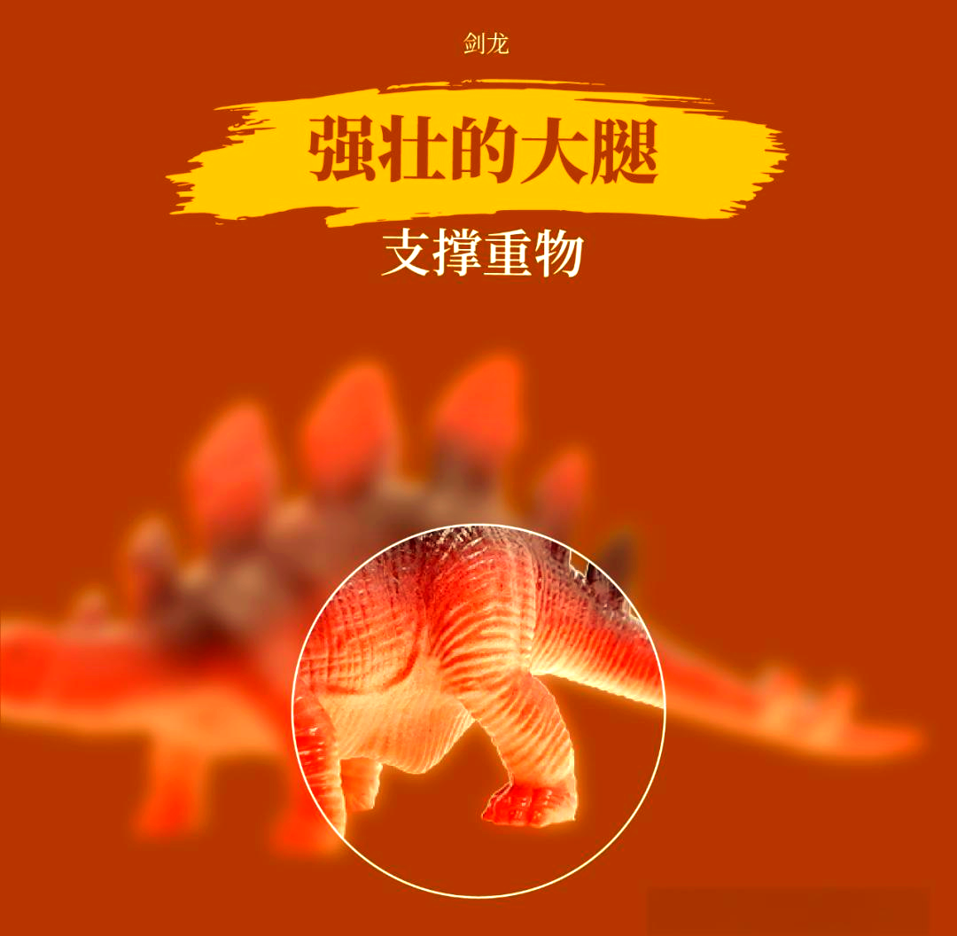 剑龙剑龙，神秘的恐龙时代战士-第2张图片