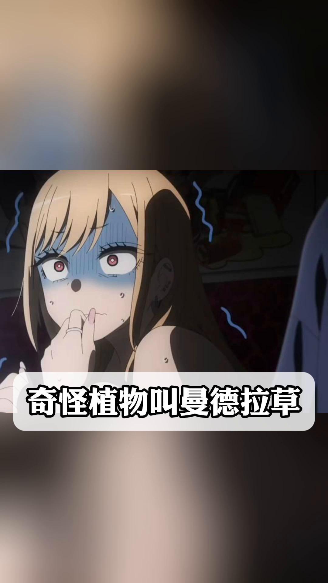 曼德拉草，神秘而独特的植物世界-第2张图片