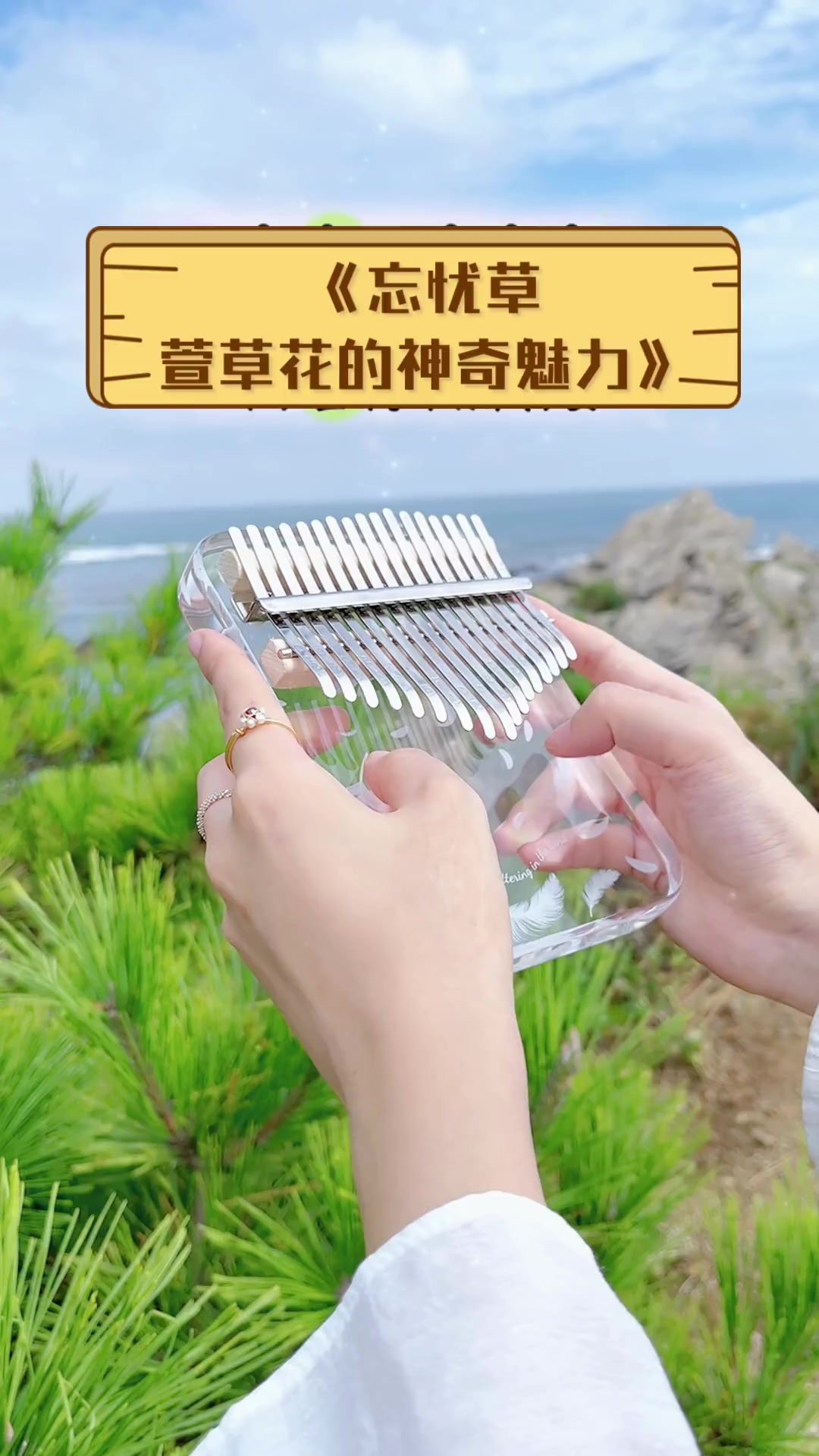 忘忧草，探索WWW资源-第1张图片