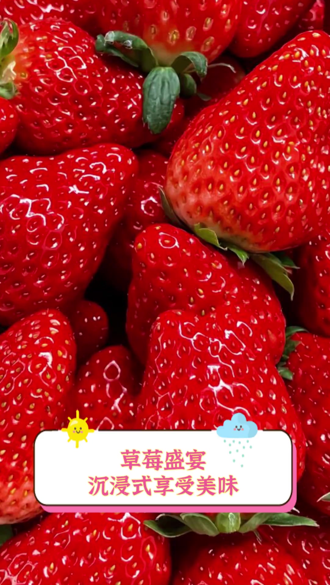 草莓app免费下载在线视频草莓app免费下载，畅享在线生活新体验-第3张图片