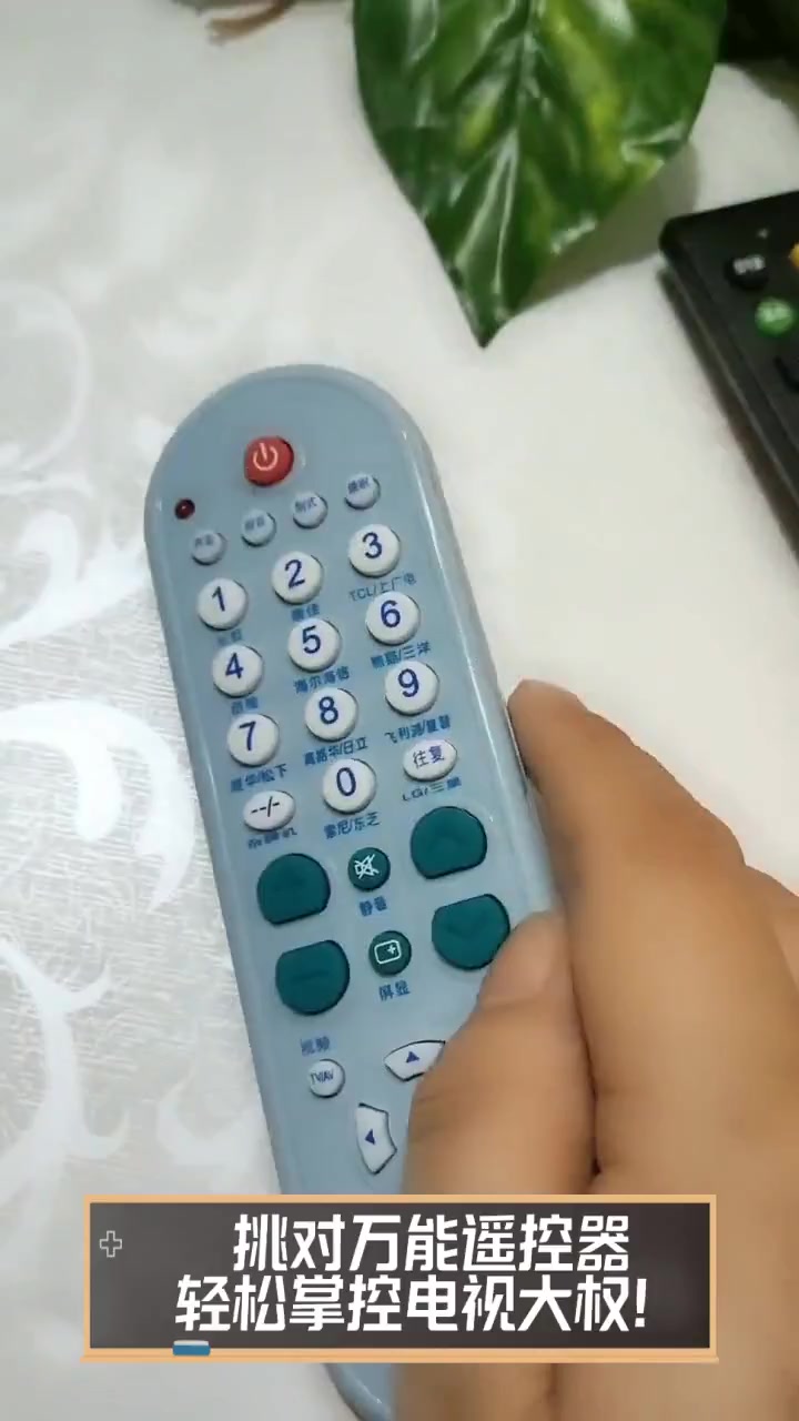主人能把遥控器关了嘛英文主人，能否掌握遥控器之权？-第2张图片