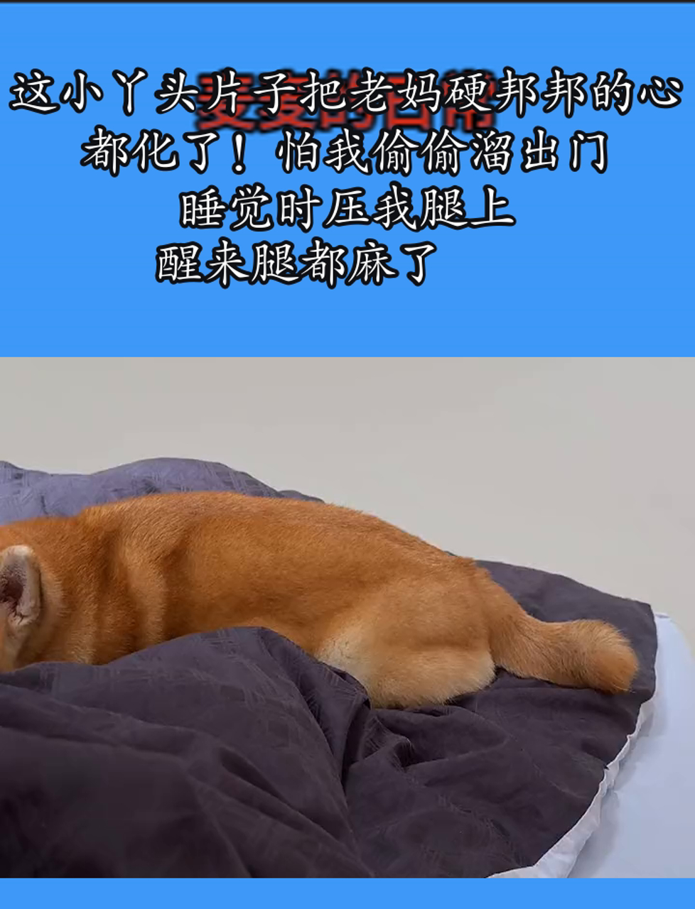 睡觉感觉有个东西撞我身体里梦中异感，睡觉时感觉有个东西撞我身体里