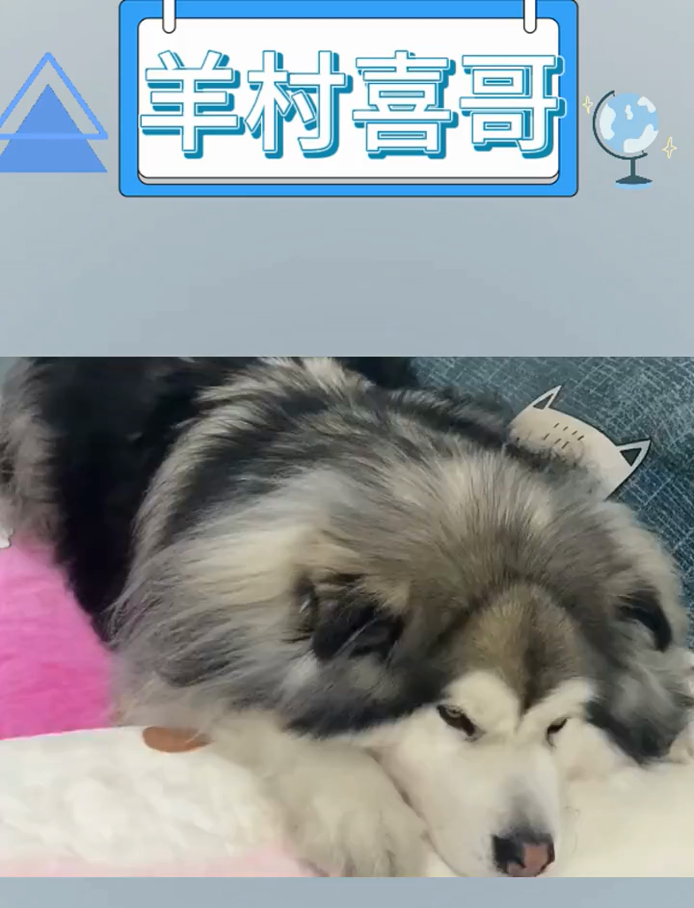 把女朋友培养成狗把女朋友培养成心肝宝贝的独特方式