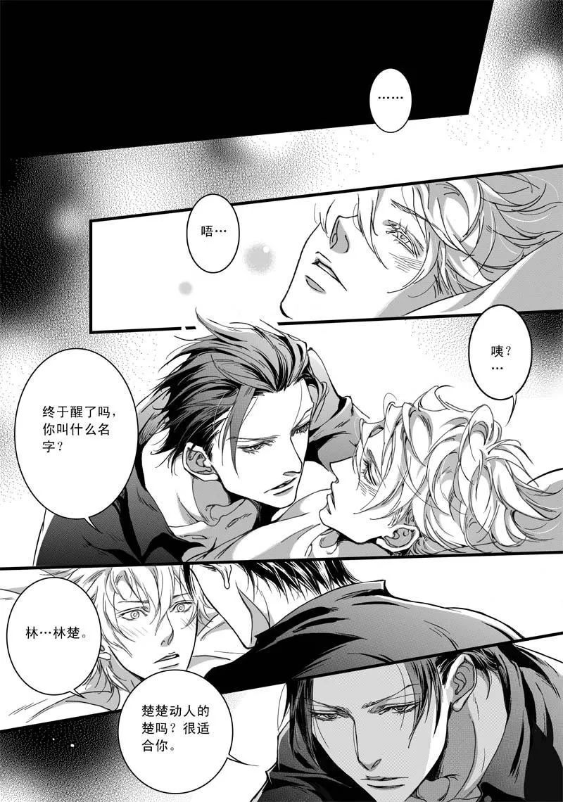 中国GAY文化，男男GAY的多元视角与探讨-第1张图片