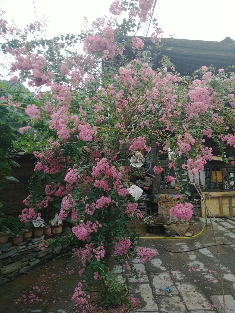yy怎么刷花YY刷花软件，使用指南与深度解析