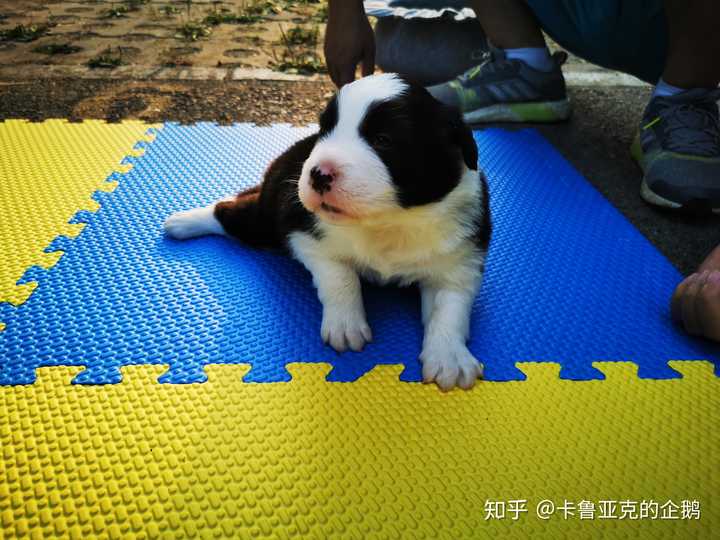 卡鲁亚克钓鱼大赛卡鲁亚克钓鱼大赛，一场人与自然的较量-第2张图片