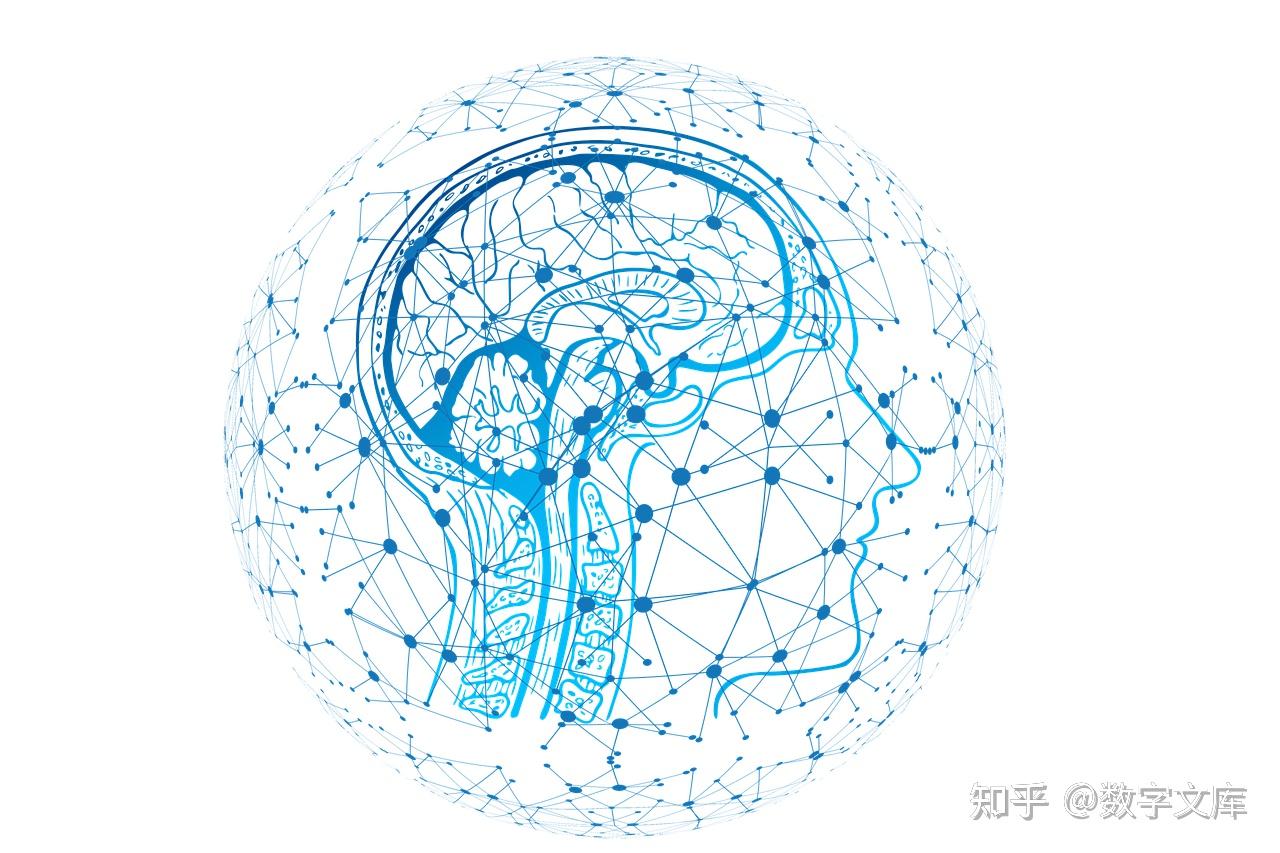 探索网络世界中的捞艳网-第2张图片