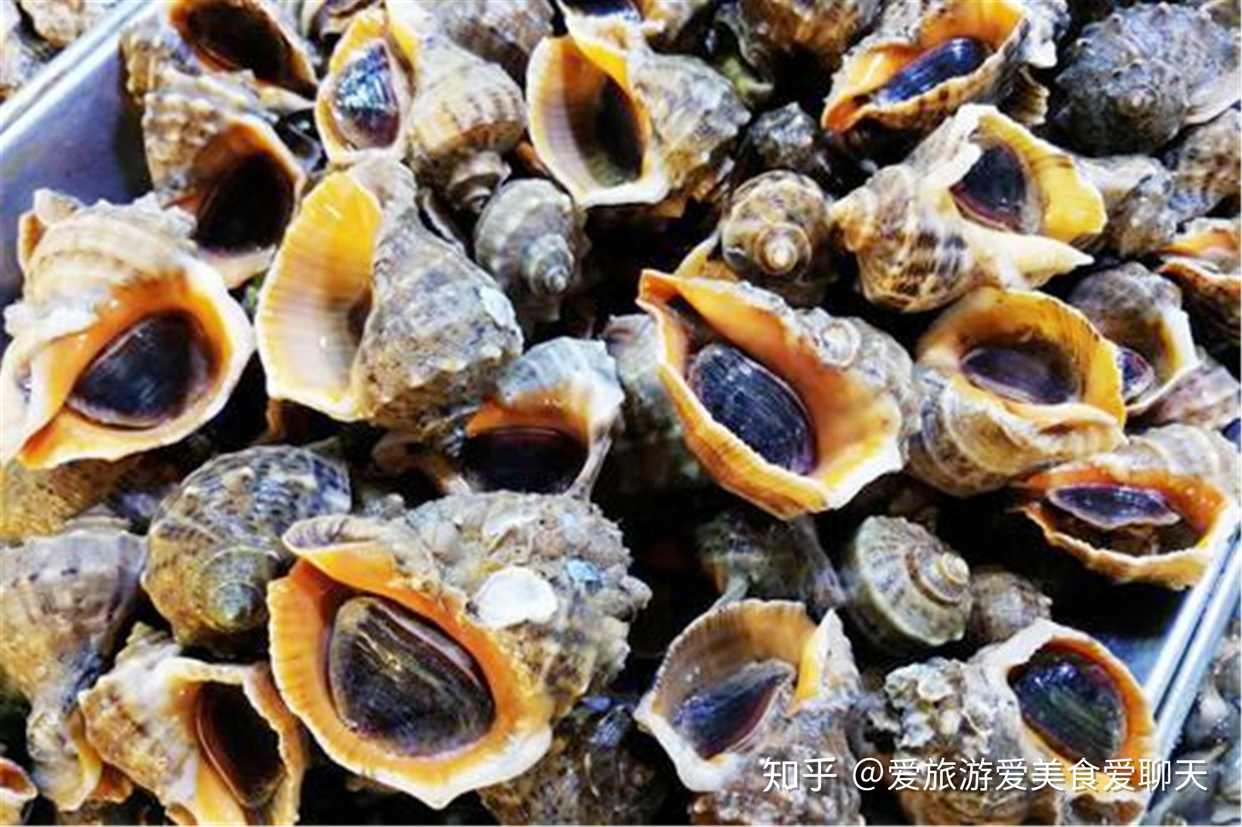 探索未知的亲密体验——打开腿吃你的扇贝-第1张图片