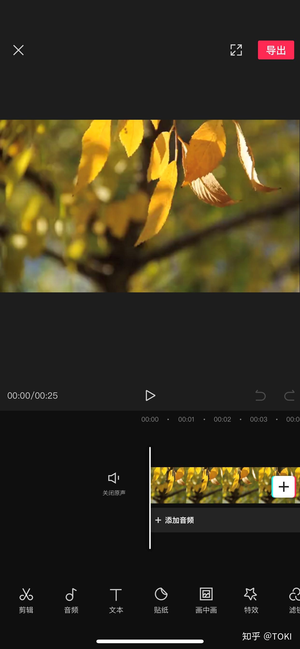 麻豆文化传媒剪映免费网址2018麻豆文化传媒，剪映免费网址的探索与体验